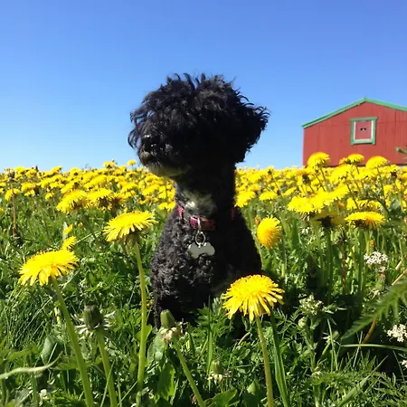 Unstad Surfpacker Hostel Unnstad